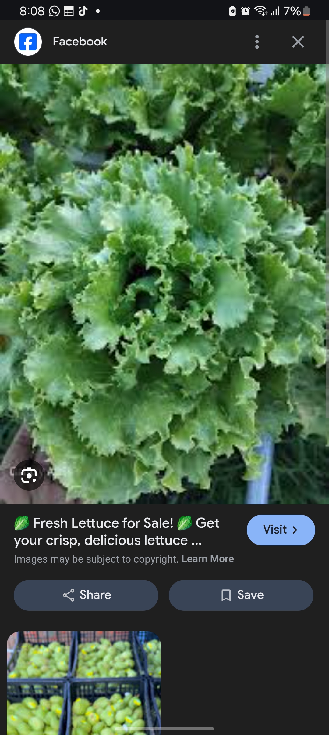 Garden veg