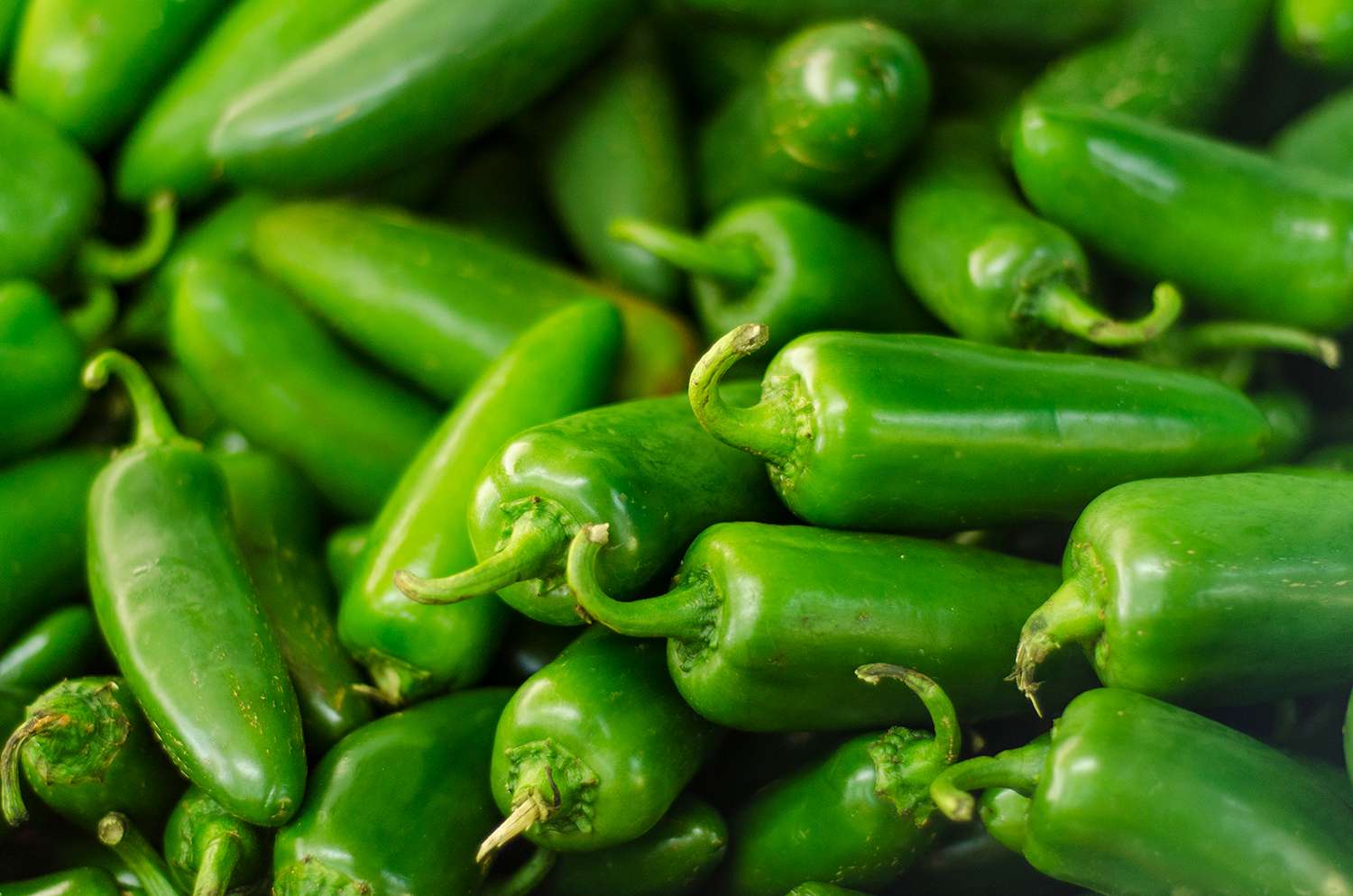 Jalapeno