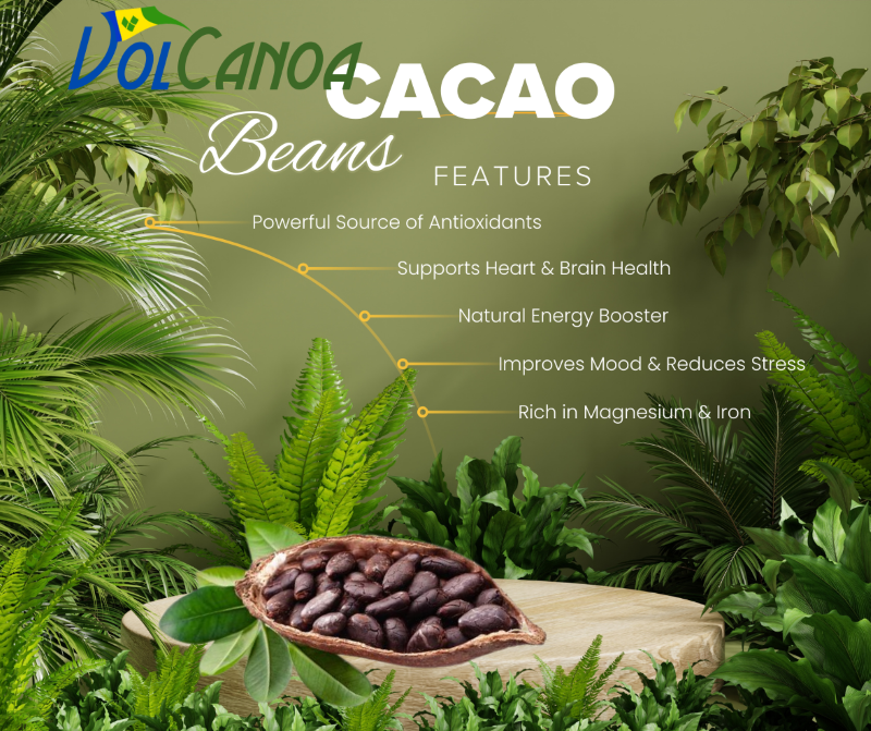 VolCanoa Cocoa Rosted Beans