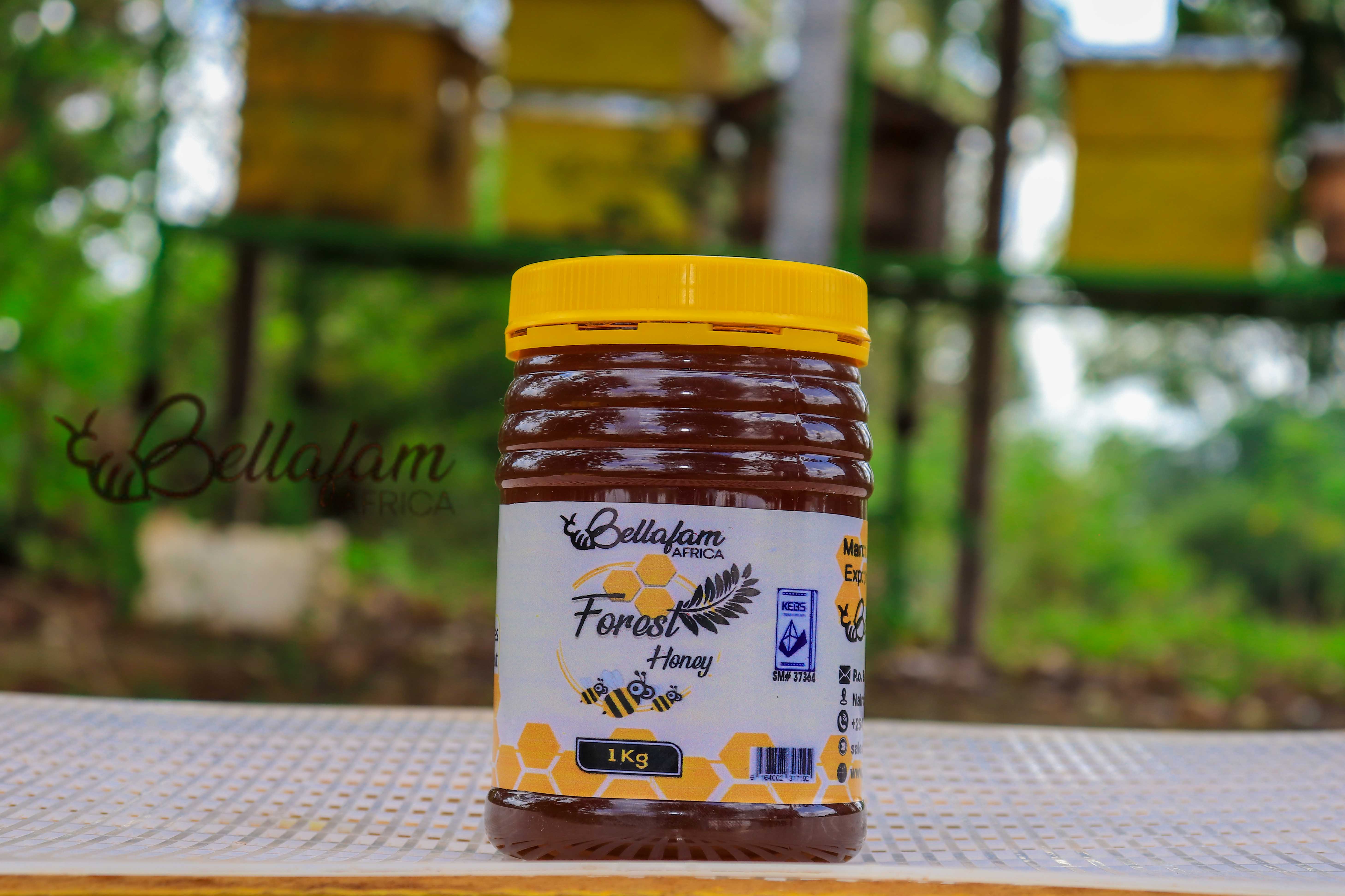 Forest Honey - 1 kg