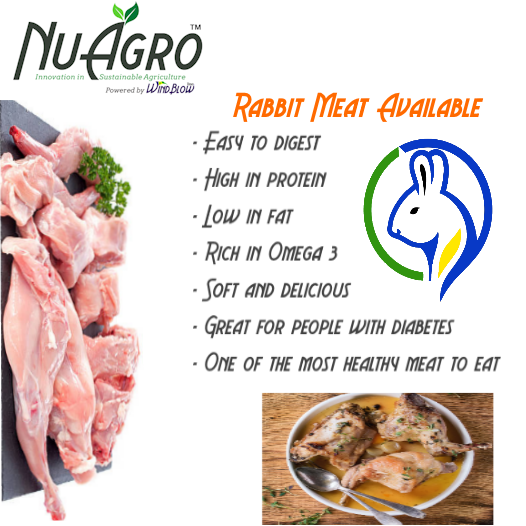 Halal Farm-Raised Rabbit Meat (Fresh or Frozen)